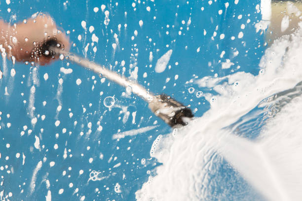 Animal Enclosure Cleaning in Weyers Cave, VA