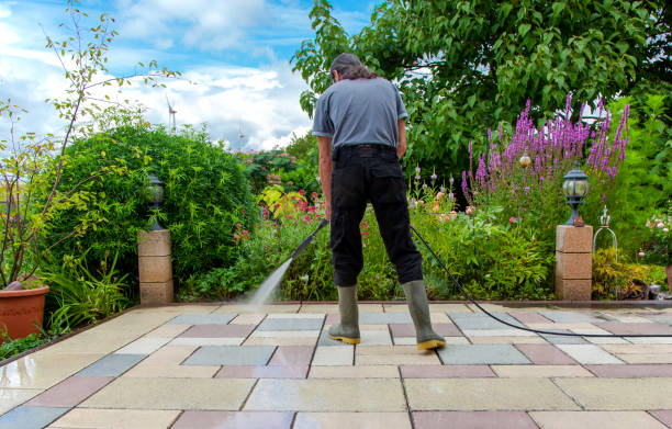 Best Sidewalk and Walkway Cleaning  in Weyers Cave, VA